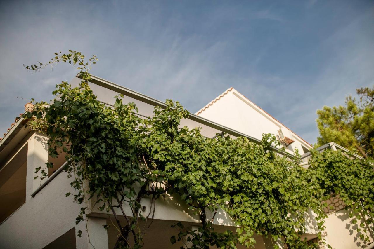 Guesthouse Sime Колан Екстериор снимка